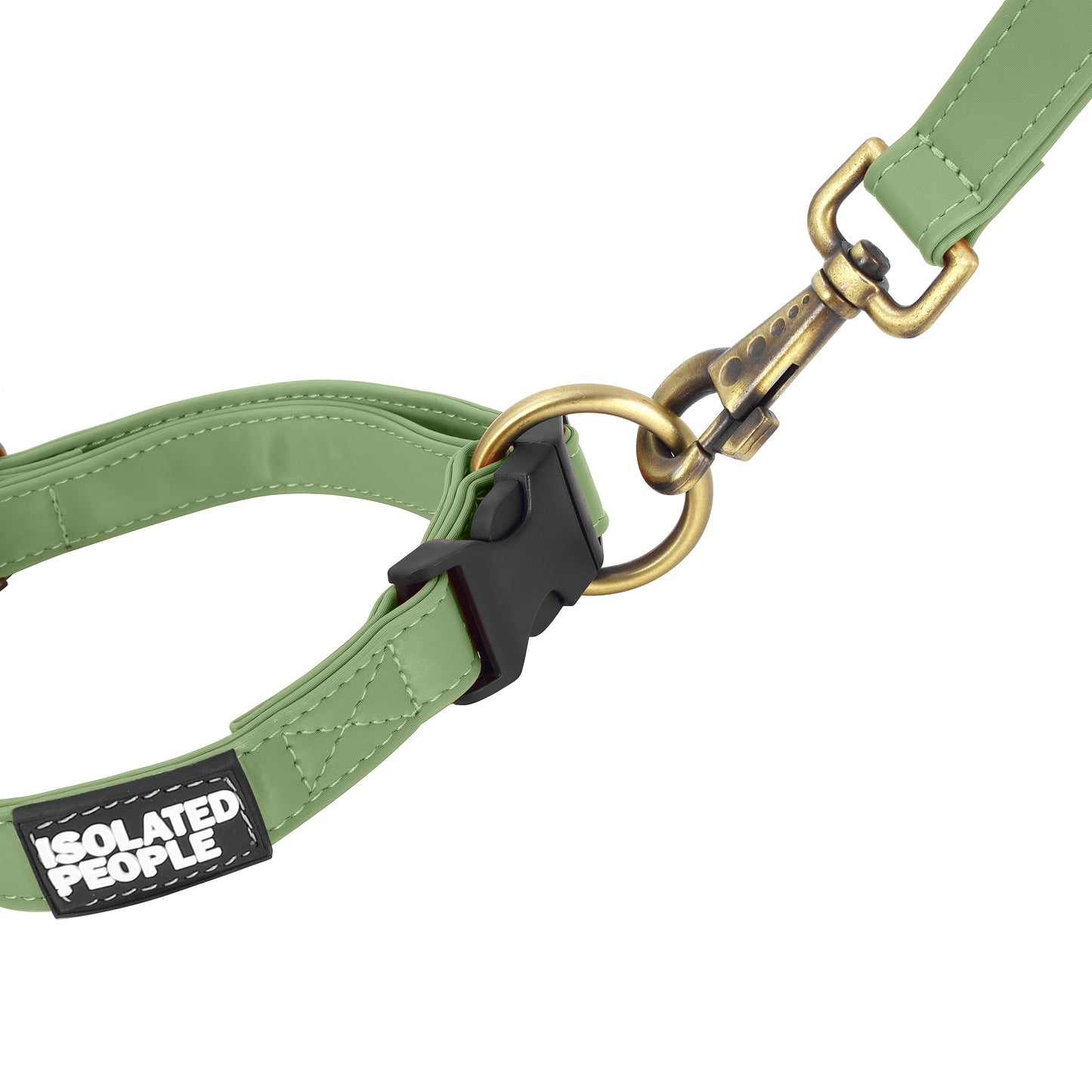 Isolated People Bob's Choice Green Dog Leash