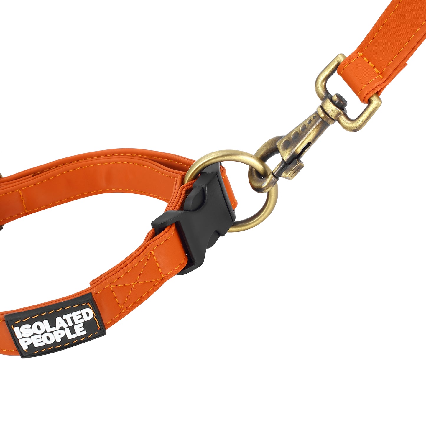 Isolated People Bob's Choice Orange Dog Leash