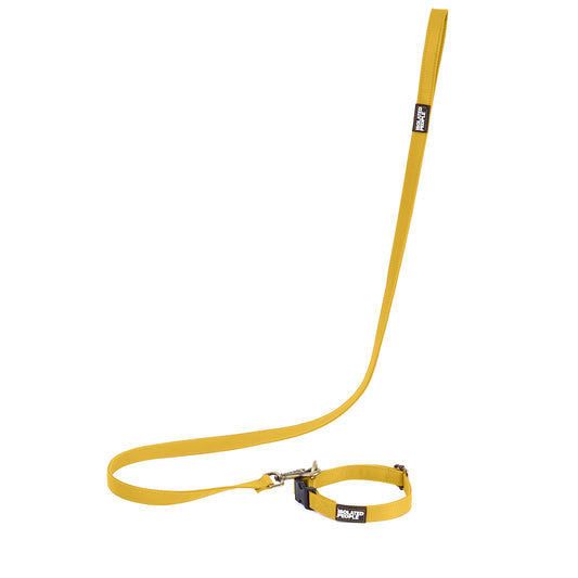 Isolated People Bob's Choice Yellow Dog Leash