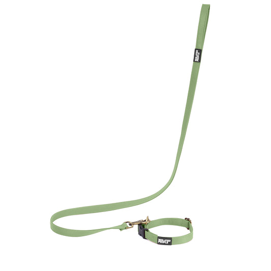 Isolated People Bob's Choice Green Dog Leash