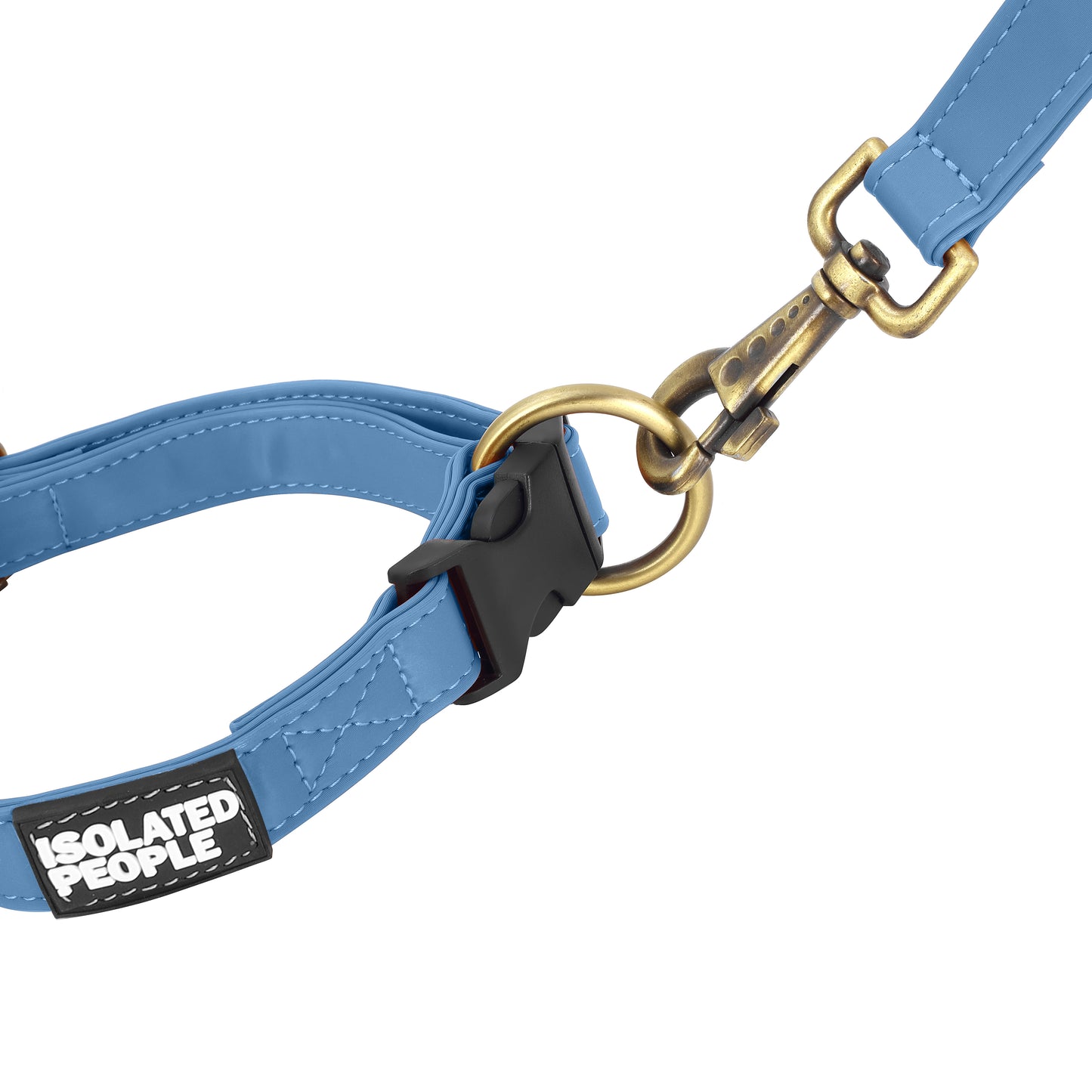 Isolated People Bob's Choice Blue Dog Leash