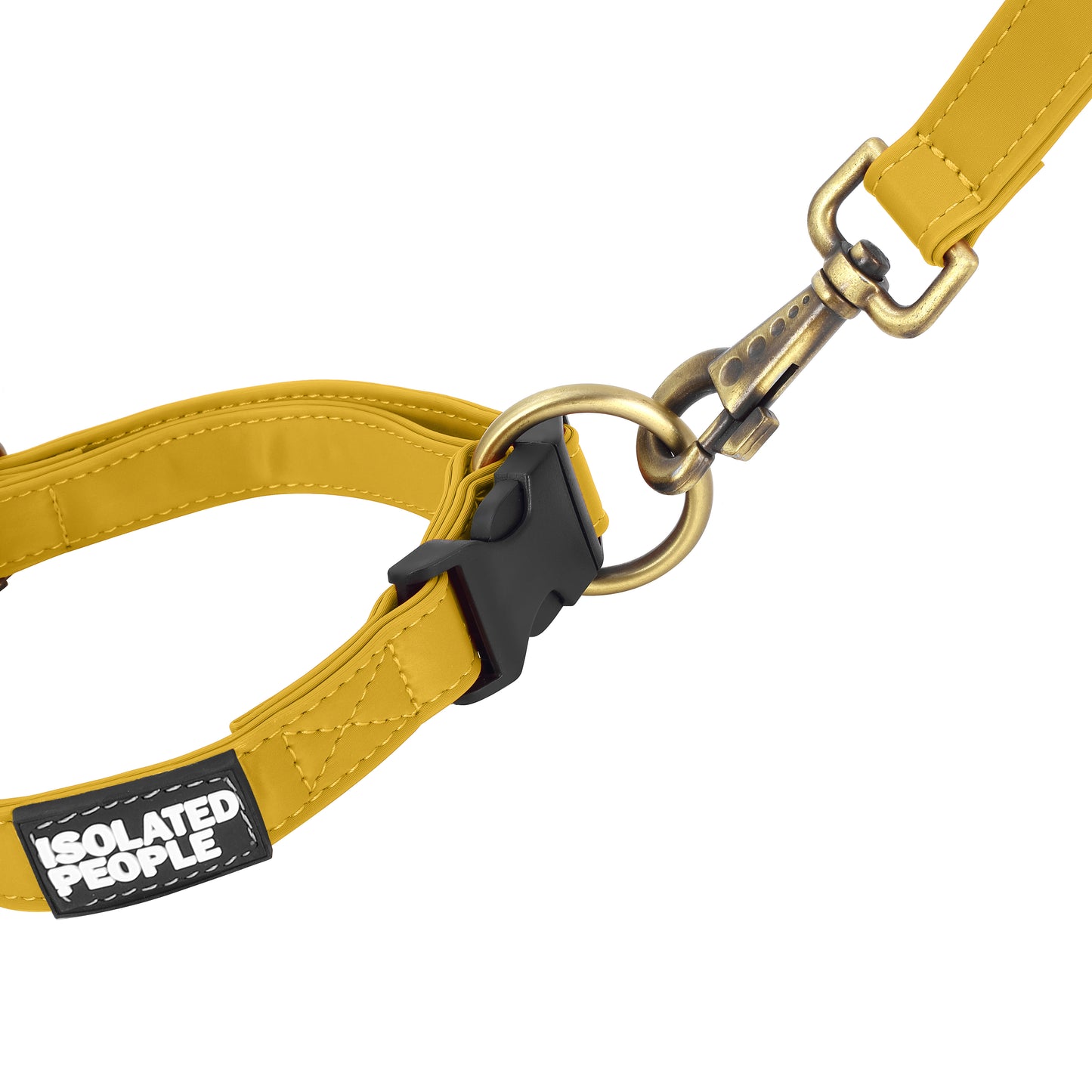 Isolated People Bob's Choice Yellow Dog Leash
