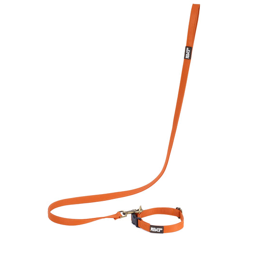 Isolated People Bob's Choice Orange Dog Leash